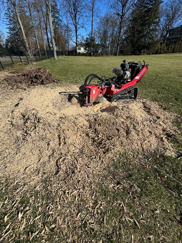 Stump Removal